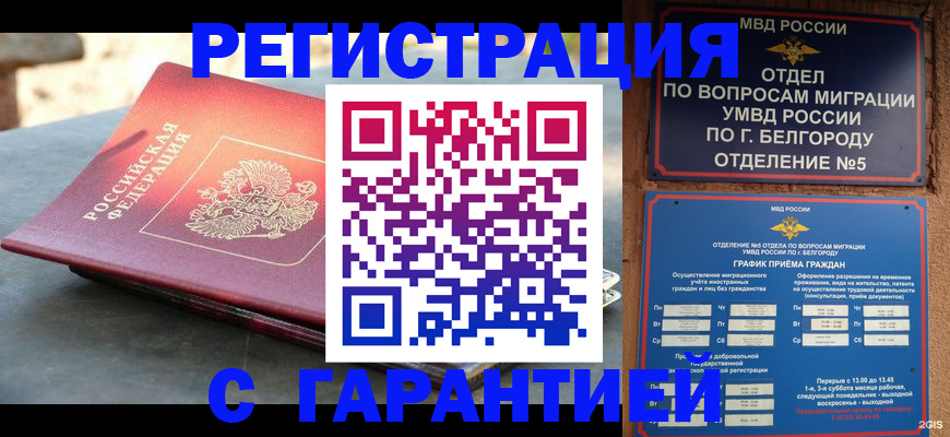 временная регистрация собственник в Михайловке